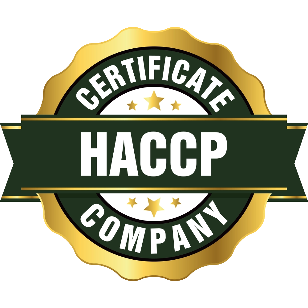 certificate 02 1